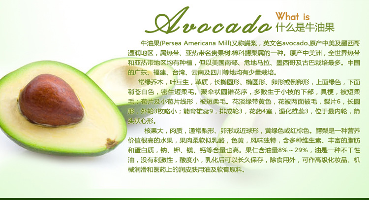 牛油果的功效与作用是热性还是寒性减肥or增肥