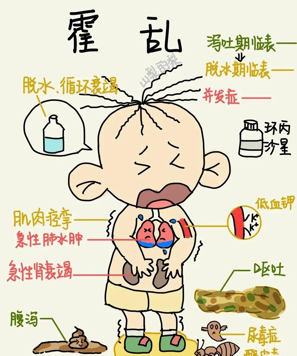 霍乱弧菌传播途径有哪些