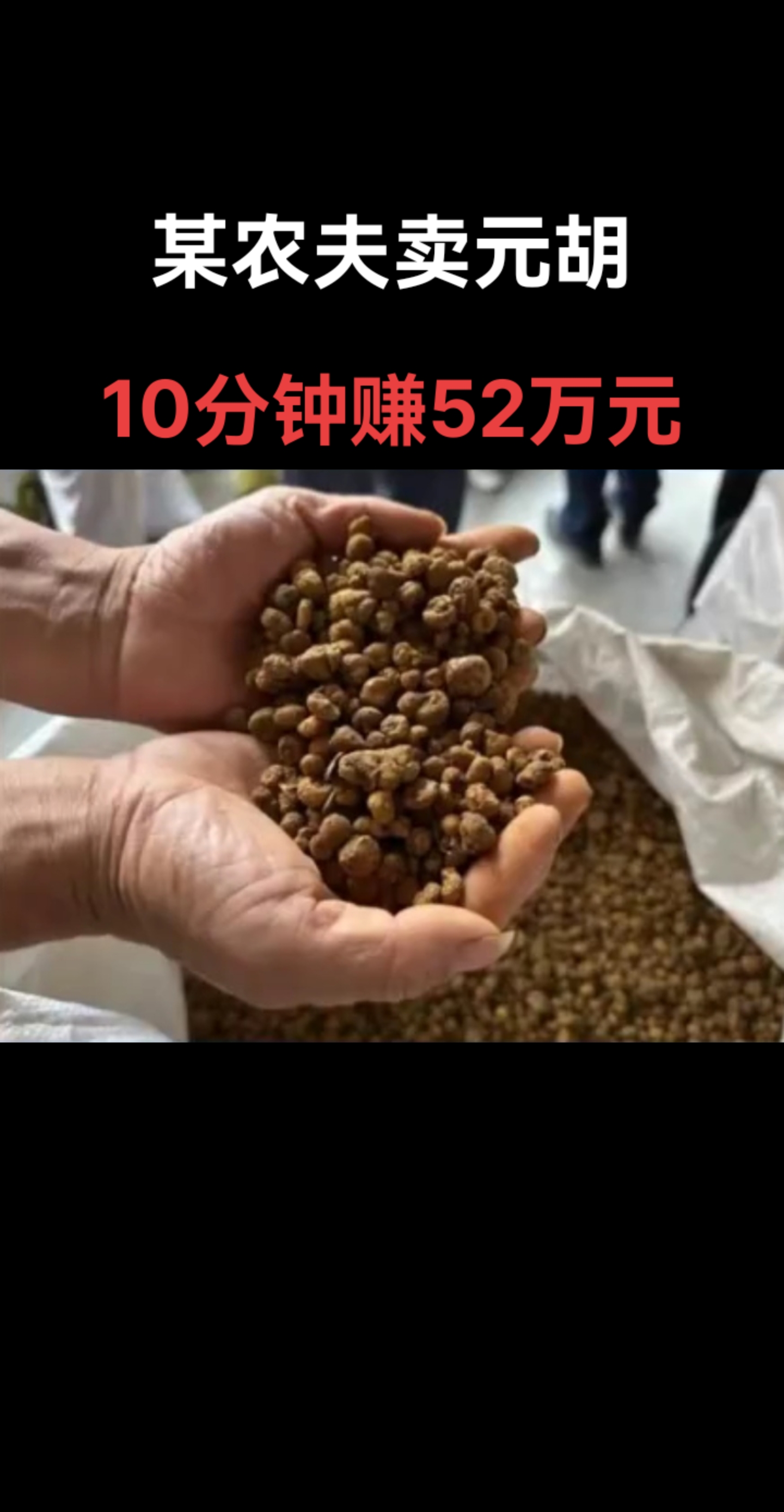 據磐安縣中藥材產業協會會長楊定升介紹,這輪中藥材價格上漲背後有多