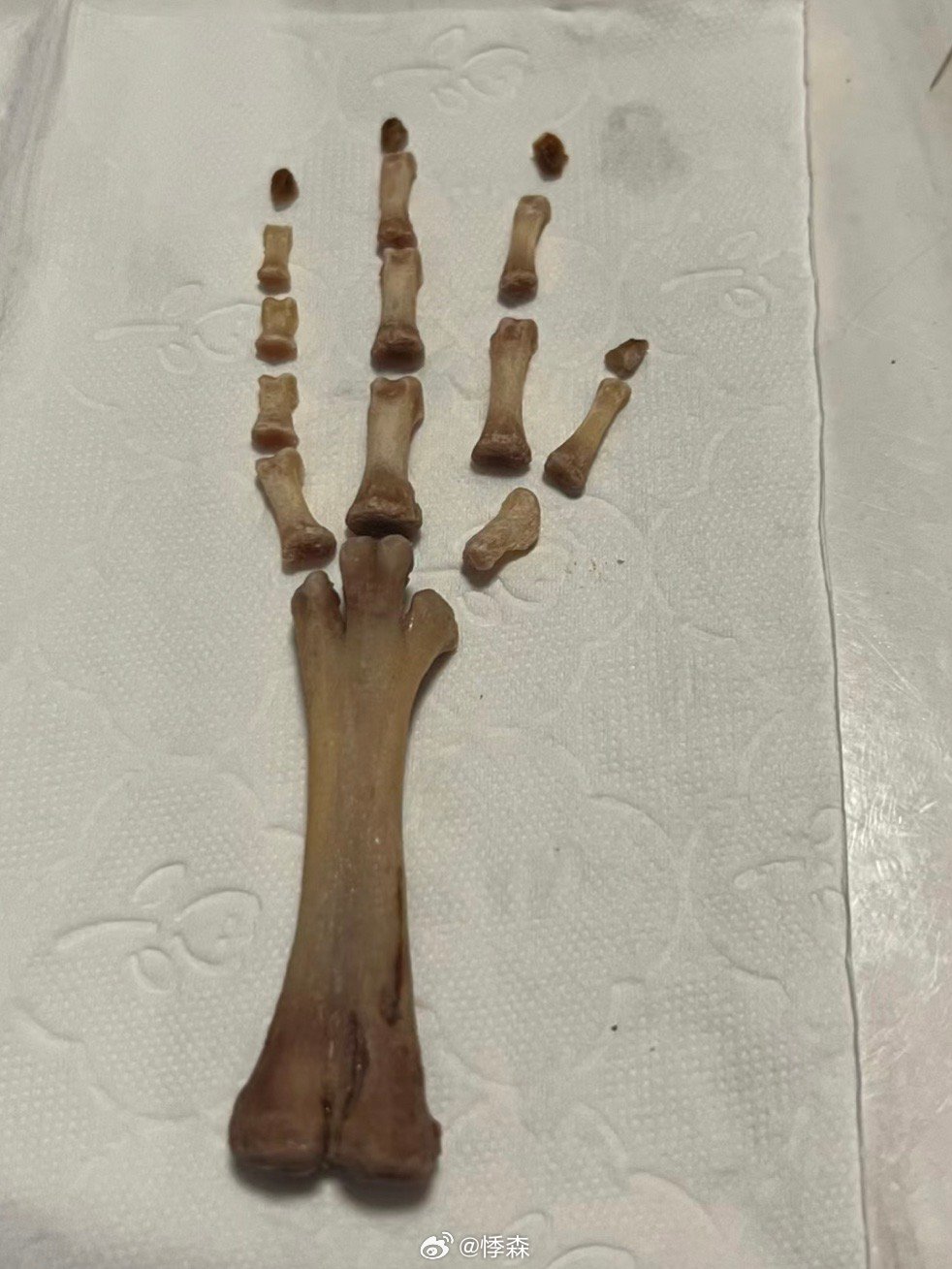 男朋友嗦完后的鸡爪子?网友:原来这是我单身的原因